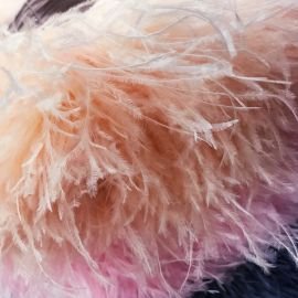 Feather fringe ostrich feathers - Ernessa